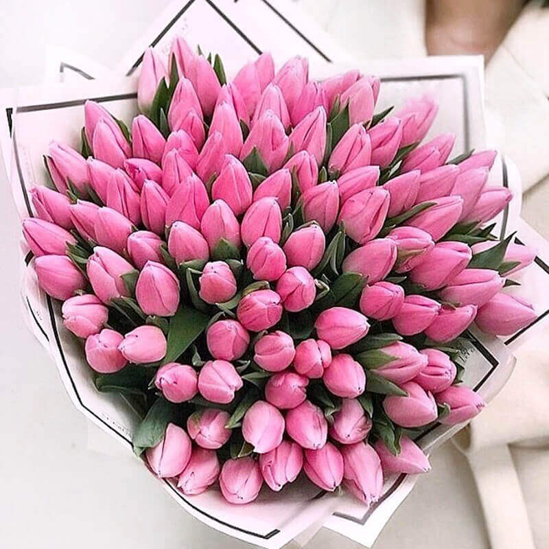 Купить букет тюльпанов в москве недорого цветы с бесплатной доставкой по москве